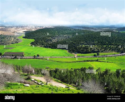 Green Fields And Hills In The Winter Of Israel The View From The Top