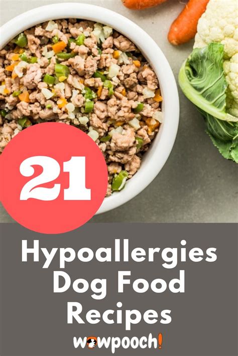 21 Dog Food Recipes For Allergies Wowpooch In 2020 Healthy Dog Food