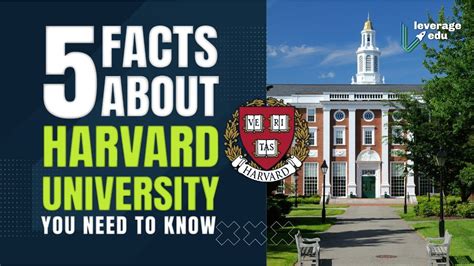 Study At Harvard University 5 Facts Win Scholarships In Business