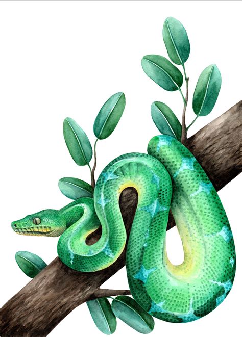 Emerald Tree Boa Snake Painting Reptile Room Decor Snake Art Reptile