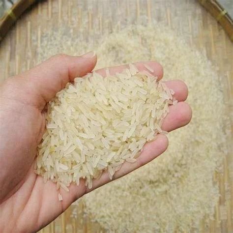 Indian Parboiled Rice At Rs 33kilogram In Kolkata Id 16147324273