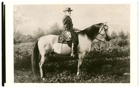 Robert E Lee And His Horse Traveller The Lincoln