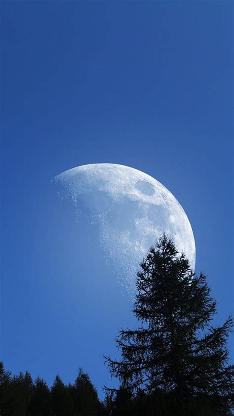 Moon In Daylight Blue Landscape Sky Stars Trees Hd Phone