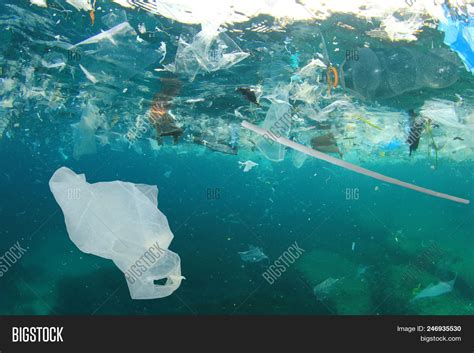 Plastic Pollution Image And Photo Free Trial Bigstock