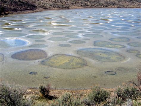 Kliluk The Spotted Lake Canada