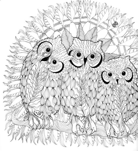 Tangle Wood Jessica Palmer Owl Coloring Pages Coloring Books Cute