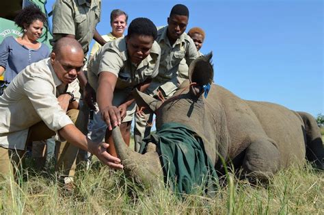 How These Eco Warriors Are Protecting Rhinos And Creating Jobs