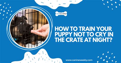 What To Do If Puppy Cries In Crate At Night