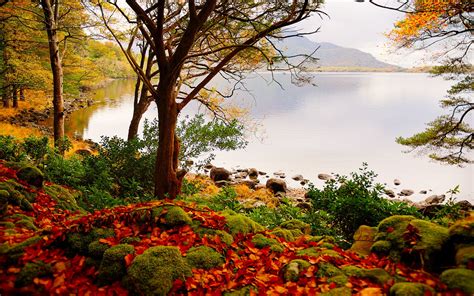 Autumn Lake Trees Landscape Wallpaper 2560x1600 174841 Wallpaperup