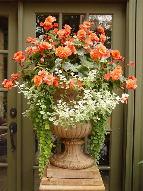 Most Beautiful Container Gardening Flowers Ideas For Your Home Front