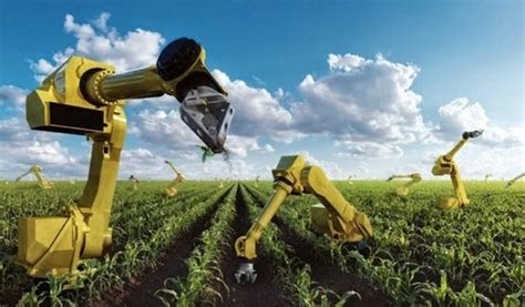 Bots Crops And Jobs Farm Tender Prime