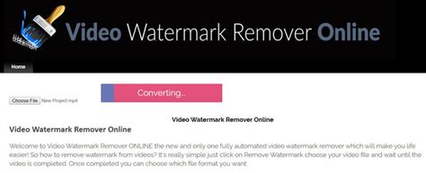 5 Ways To Remove Movavi Watermark From Videos