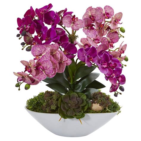 20” Phalaenopsis Orchid And Succulent Artificial Arrangement In White Vase Nearly Natural