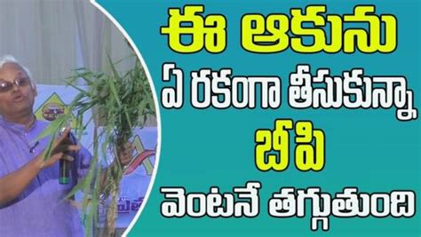 బిపి బ్లడ్ ప్రెషర్ రోగులు తీసుకొనవలసిన సిరిధాన్యాలు కషాయాలు