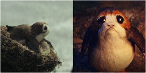 Star Wars 10 Details About Porgs You Missed