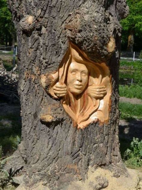 12 Impressive Wood Carving Into Tree Stumps Collection Tree Art