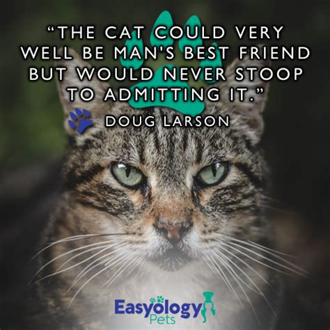 These friendship quotes show how special great friends truly. Are you best friends? 🐱 #ShareYourKitty #Cats #Quotes | Cat quotes, Best friends, Mans best friend