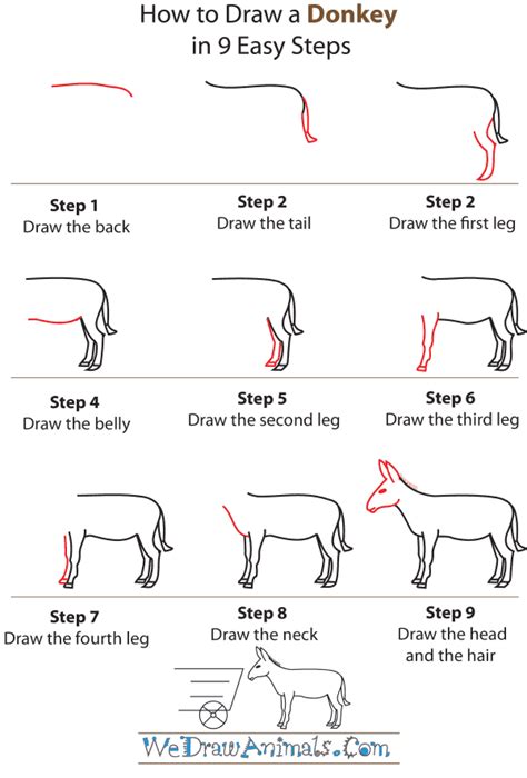 This took three 50 minute classes. How to Draw a Donkey