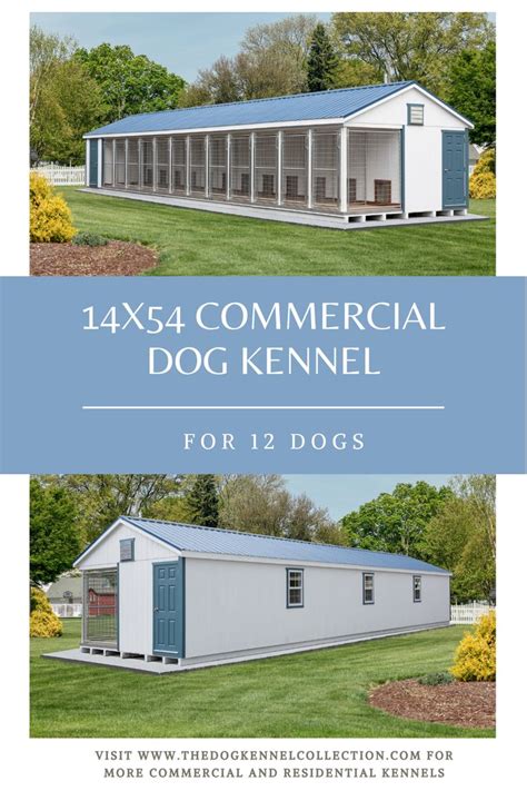 14x54 Commercial Dog Kennel For 12 Dogs In 2023 Dog Kennel Dog