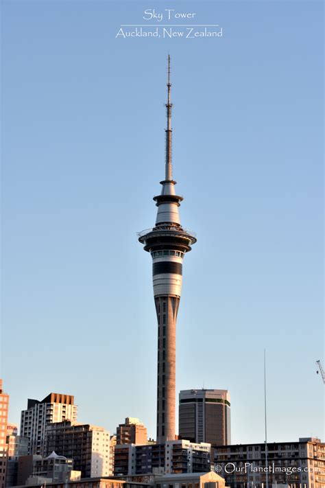 Sky tower is a observation tower in auckland, auckland, new zealand. Sky Tower, Auckland New Zealand