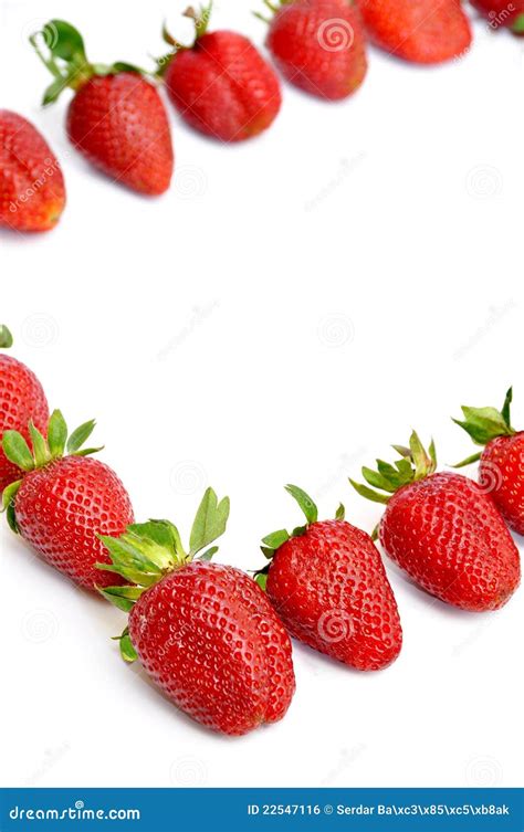 Strawberry Stock Photo Image Of Isolated Nature Agriculture 22547116