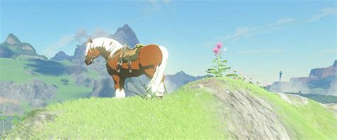 The Legend Of Zelda Breath Of The Wild Guide How To Get