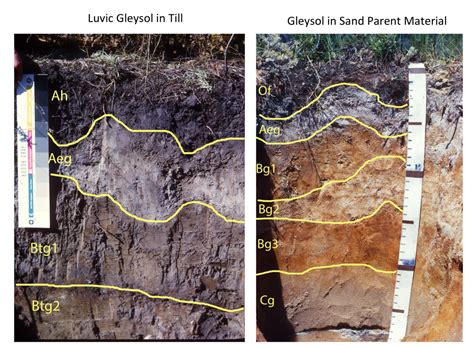 Soils Of The Prairie Provinces Digging Into Canadian Soils