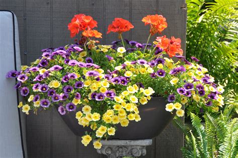 Pin On Container Gardening