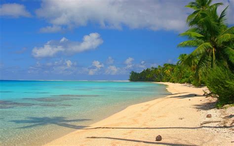 Nature Landscape Beach Palm Trees Island White Sand Tropical Sea Clouds Shrubs Summer French