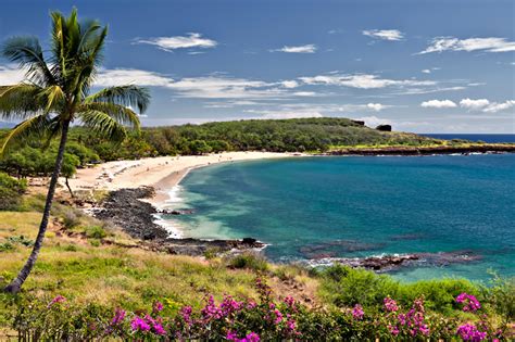 Manele Bay Beach Lanai Island Hawaii Lanai The Most Expensive