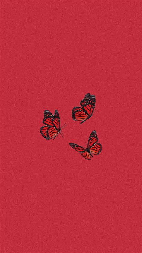 Cute Red Butterfly Wallpapers Top Free Cute Red Butterfly Backgrounds