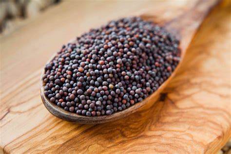 What Are Mustard Seeds And How Are They Used