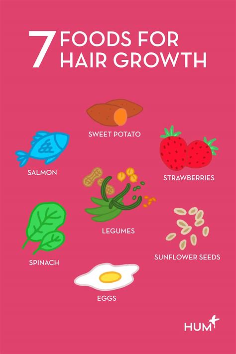 The 7 Best Foods To Eat For Hair Growth According To An Rd Hum