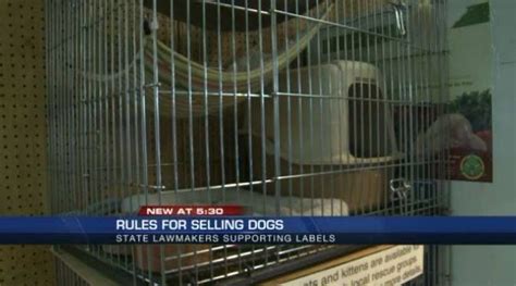 While it's the responsibility of pet owners to ensure they can afford any veterinary treatment their pets may require, we do understand that sometimes people fall on hard times. VA. PET SALES BILL CLEARS BOTH HOUSES. Sales of dogs and ...