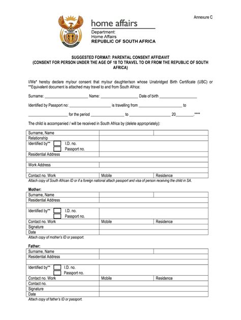South African Affidavit Blank Form Fill Out And Sign Printable Pdf Template Airslate Signnow