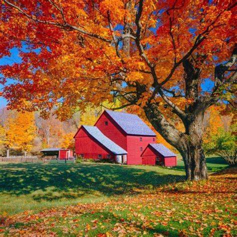 Pin By Faith Joslyn On Fall Foliage Autumn Landscape