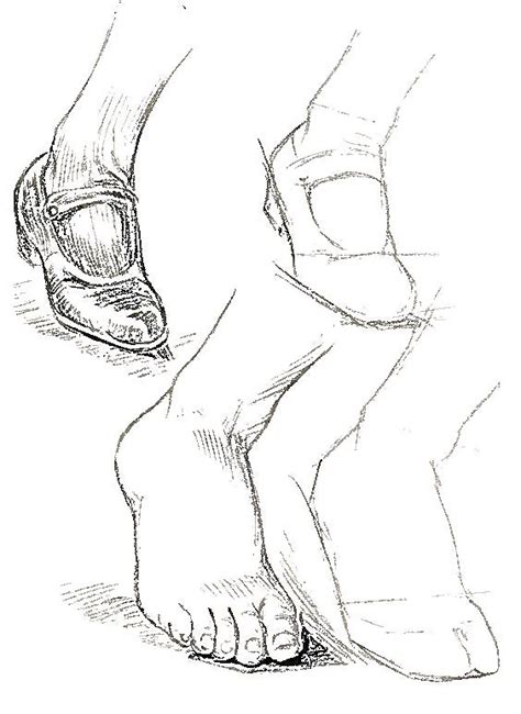 Human Feet Anatomy