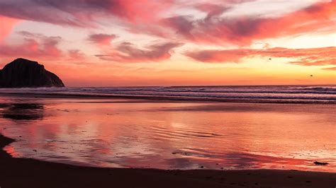 Beach Pink Sunset Home Web Csldallas