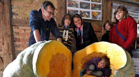 Cambiar un tabique por una puerta corredera. La calabaza más grande del mundo | Degustalo, gastronomia ...