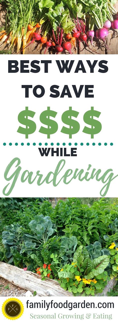 The Best Frugal Gardening Tips Frugal Gardening Gardening For