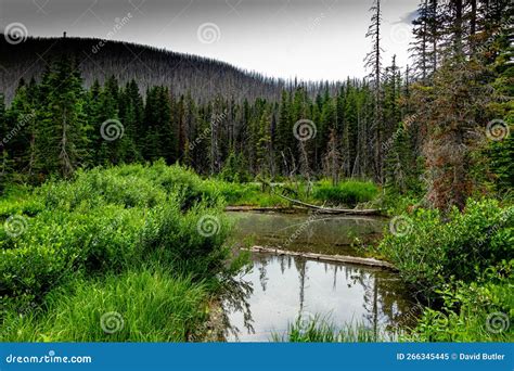 Cameron Lake Waterton Lakes National Park Alberta Canada Stock Image