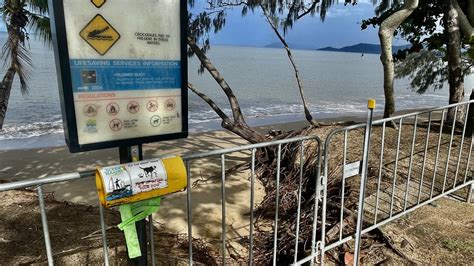 Holloways Beach Erosion Continued Despite 2m Groyne Build Townsville Bulletin