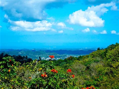 101 Best Images About Corozal Puerto Rico On Pinterest Bottle Cap