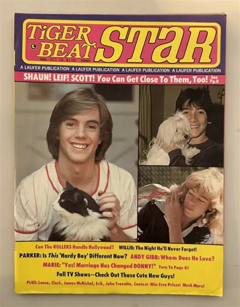 1978 January Tiger Beat Star Magazine Leif Garrett B17 2999 Picclick