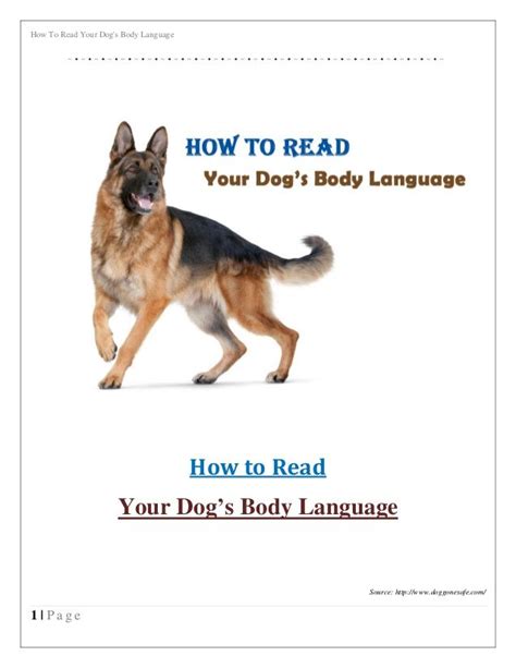 How To Read Your Dogs Body Language 1 P A G E How To Read Your Dogs