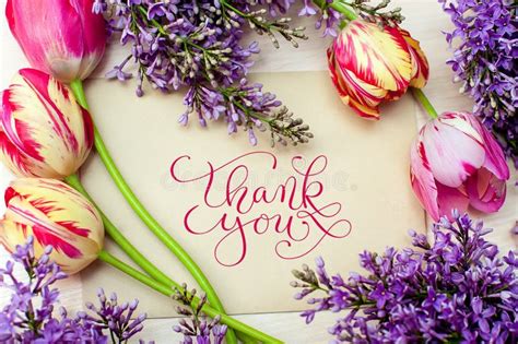 Beautiful Frame Of Lilacs And Tulips For Greeting Card With Words Thank