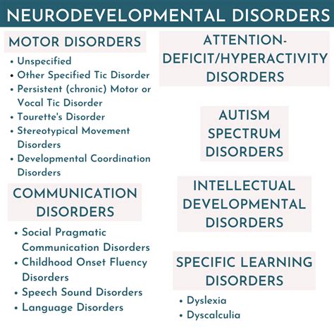 Exploring Autism And Other Neurodevelopmental Disorders As Whole Body