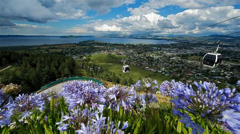 Book top tours now on viator Skyline Rotorua Luge and Gondola | Rotorua NZ