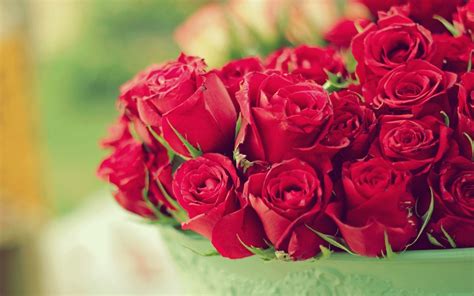 Red Roses Bouquet Wallpaper High Definition High Quality Widescreen