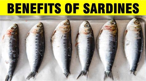 10 Surprising Health Benefits Of Sardines Nutritional Benefits In